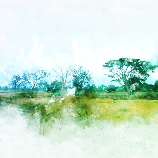istock Abstract tree and field landscape watercolor painting background. 953074320