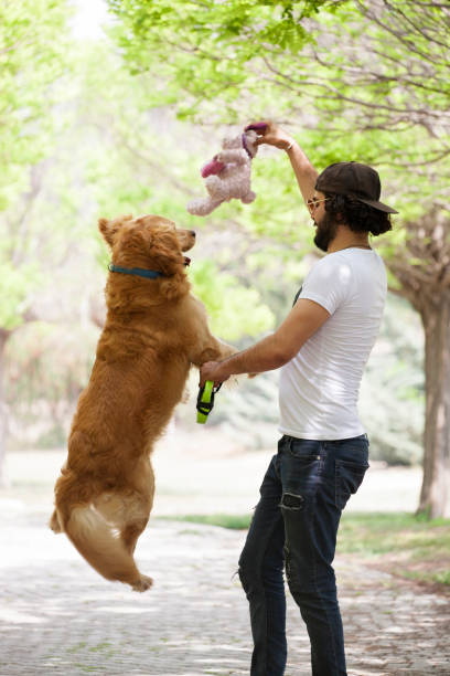 istock Young man spending time with his hunter dog outdoors. 953077382