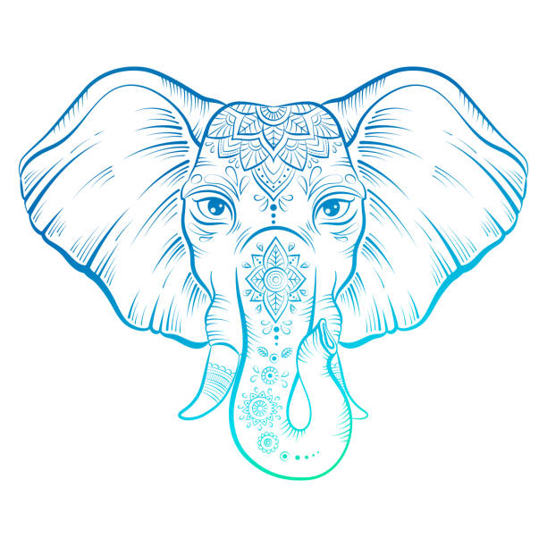 illustrations, cliparts, dessins animés et icônes de éléphant de vecteur de style vintage avec fleuri, couleur néon - elephants head