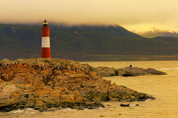Les Eclaireurs Lighthouse in the Beagle Channel and snowcapped Andes landscape, Ushuaia Les Eclaireurs Lighthouse in the Beagle Channel and snowcapped Andes landscape, Ushuaia - Tierra Del fuego, Argentina – South America les eclaireurs lighthouse photos stock pictures, royalty-free photos & images
