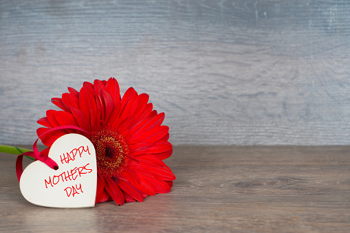 happy mother's day, greetings card with red gerbera and heart shape
