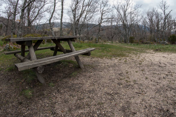 istock Wooden bench for a picnic 953090606