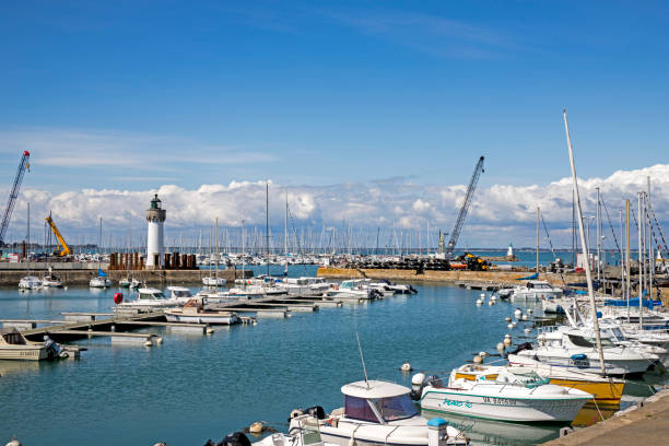 istock Flight on the Atlantic coast, Loire estuary and salt marsh 953091644