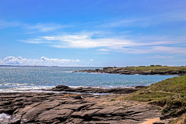 istock Flight on the Atlantic coast, Loire estuary and salt marsh 953095112