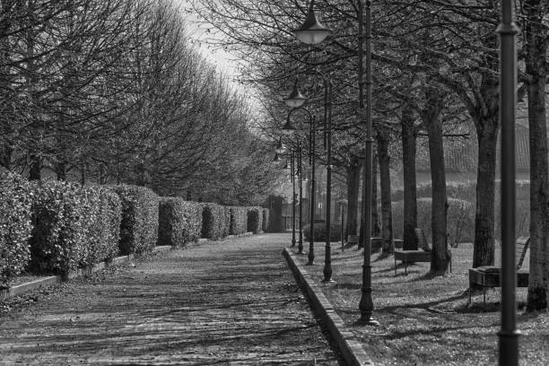istock Footpath in public park, tranquility scene, idyllic background 953101044