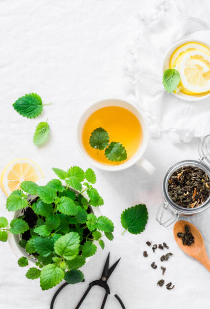 istock Green melissa lemon tea on light background, top view 953101352