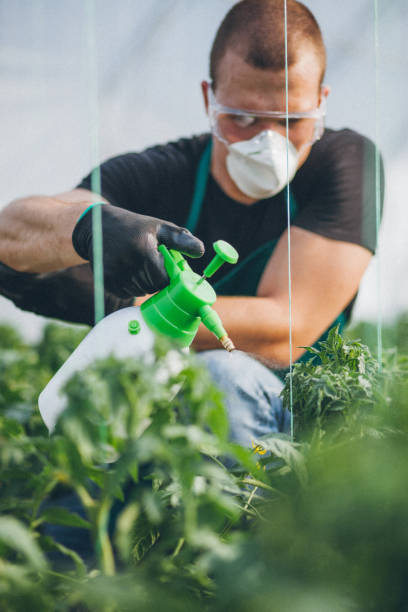 istock Farmer working in the garden 953119336