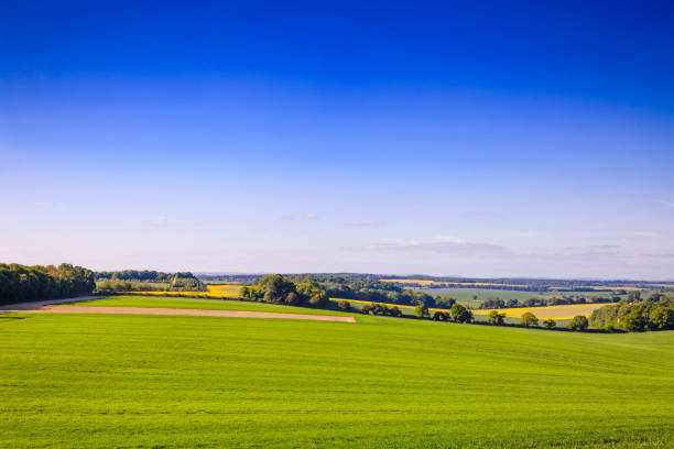 istock Summer rural landscape Southern England UK 953127576