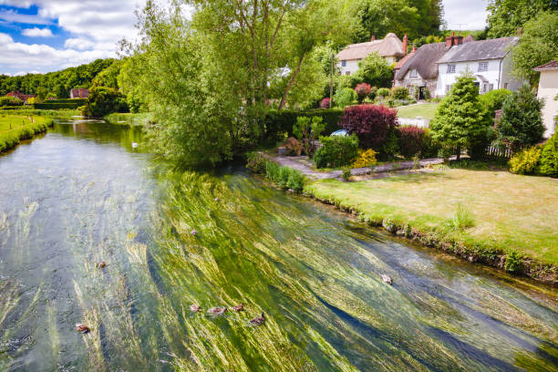 River Avon near Salisbury Southern England UK