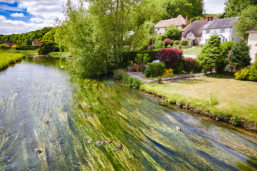 English summer landscape with River Avon (Bristol Avon) at Upper Woodford near Salisbury in Southern England UK