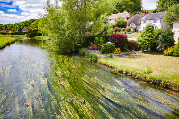 River Avon near Salisbury Southern England UK English summer landscape with River Avon (Bristol Avon) at Upper Woodford near Salisbury in Southern England UK wiltshire stock pictures, royalty-free photos & images
