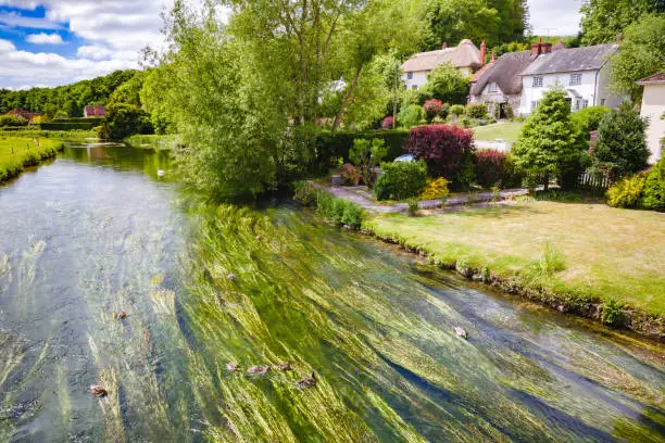 Photo of River Avon near Salisbury Southern England UK