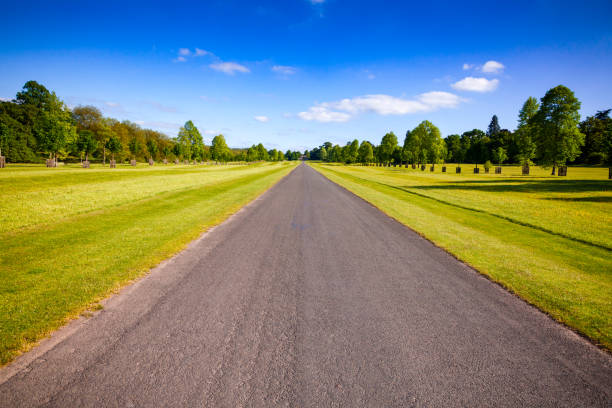 istock Open straight road in Southern England UK 953128296