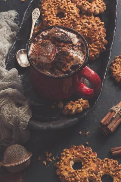 istock Hot chocolate with marshmallows and cookies with nuts. Cozy atmosphere, rustic style. Toned photo. 953135426