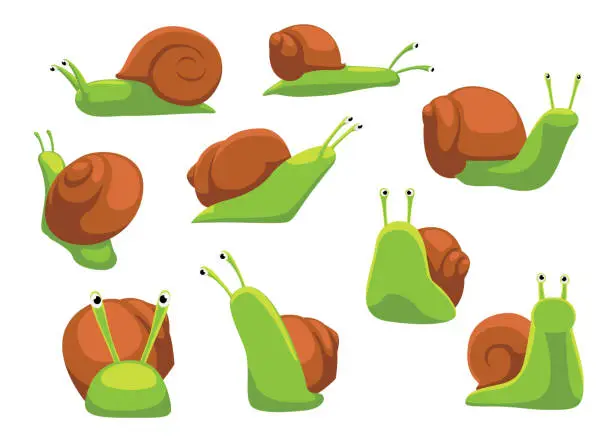 Vector illustration of Escargot Snail Helix Cartoon Vector Illustration