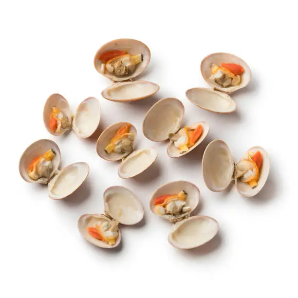 Photo of Open cooked smooth clams