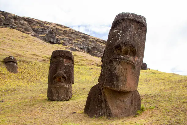 Moai on Rano Raraku easter island