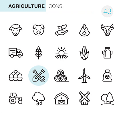 20 Outline Style - Black line - Pixel Perfect icons / Set #43
Icons are designed in 48x48pх square, outline stroke 2px.

First row of outline icons contains:
Sheep, Pig, Leaf in human hand, Chicken- Bird, Cow;

Second row contains:
Truck, Wheat, Sunrise and Field, Corn - Crop, Milk Bottle;

Third row contains:
Eggs in container, Crossed Shovel and Rake, Haystack, Wind Turbine, Sugar Bag; 

Fourth row contains:
Tractor, Rain, Barn, Windmill, Tree.

Complete Primico collection - https://www.istockphoto.com/collaboration/boards/NQPVdXl6m0W6Zy5mWYkSyw