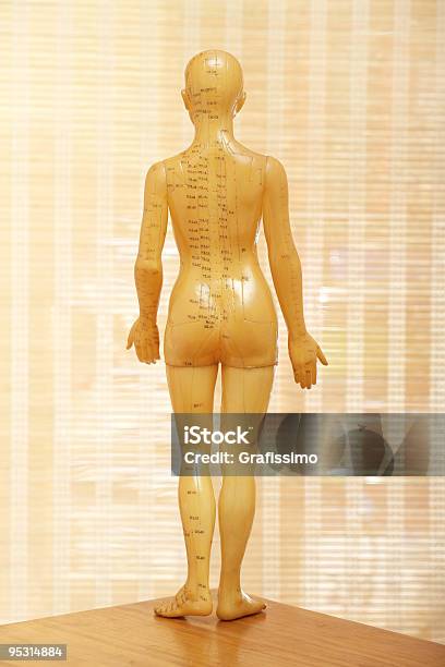 Acupunctura Modelo Feminino Da Parte De Trás - Fotografias de stock e mais imagens de Acupuntura - Acupuntura, Adulto, Anatomia