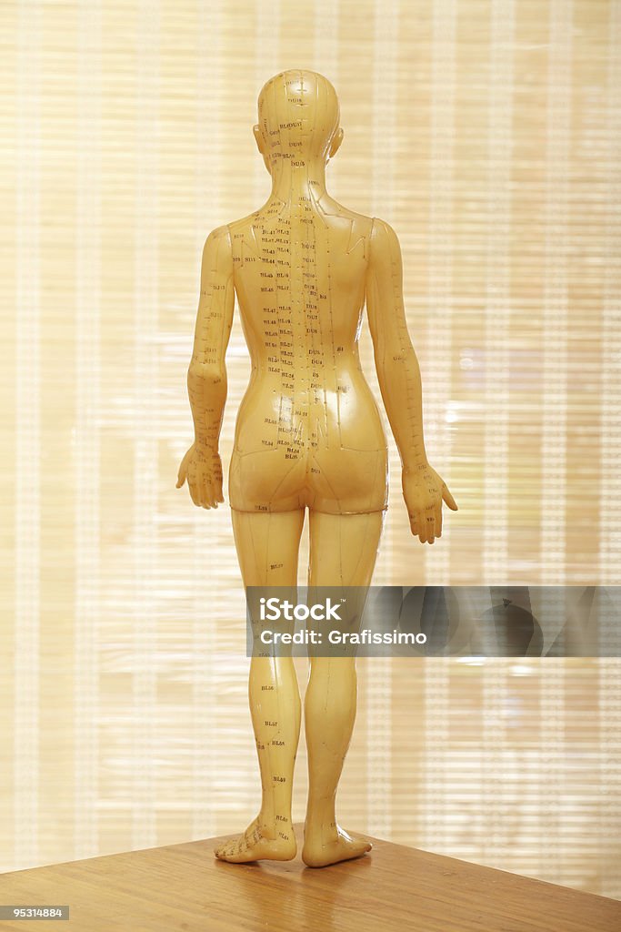 Акупунктура Женский модель на спине - Стоковые фото Анатомия роялти-фри