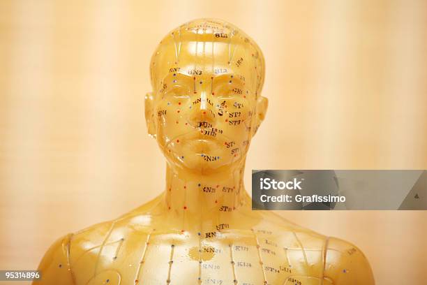 Acupuncture Male Model Head Stock Photo - Download Image Now - Acupuncture, Anatomy, People