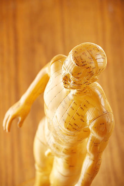акупунктура мужской модели из выше - acupuncture shiatsu reflexology meridians стоковые фото и изображения