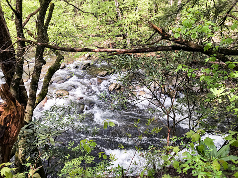 The Roaring Fork River offers all visitors  a great sampling of the beauty within the Smokey Mountains. On this Spring day the colors of spring offered peace and tranquility. A must see for all who visit Tennessee.