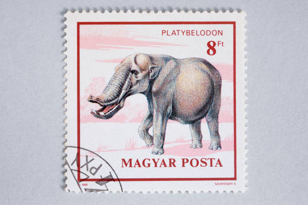 istock Close up of hungarian post stamp showing a platybelodon 95315320