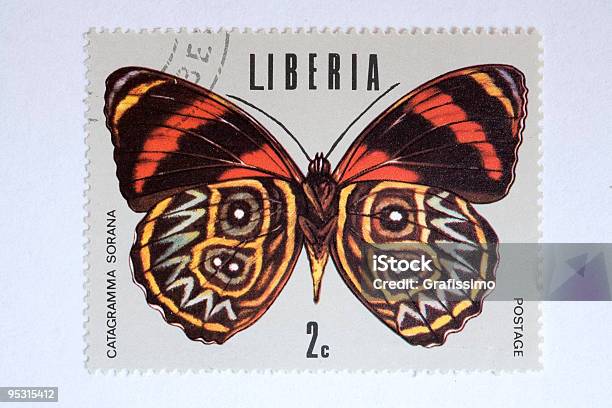 Ilustración de Primer Plano De Liberia Después De La Firma y más Vectores Libres de Derechos de Ala de animal - Ala de animal, Color - Tipo de imagen, Colorido