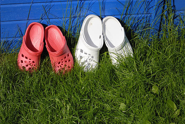 A group of casual clog shoes