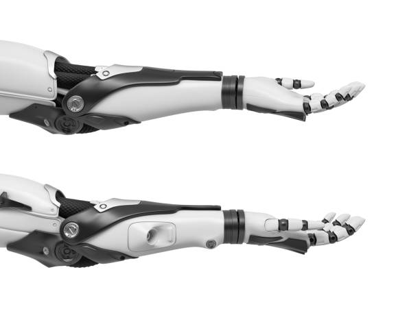 istock 3d rendering of set of two black and white robotic hands with open palms turned upwards 953155856