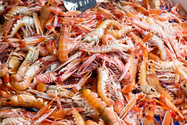 istock Crabs for sale at fish market 953156948