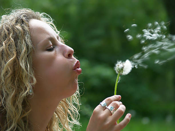 istock Girl blow dandelion seed 95315803