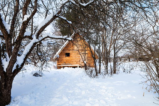 new little timber cottage in snow-covered garden in winter in Smolensk region of Russia