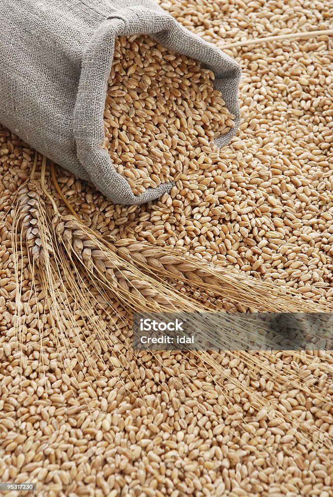 O espalhadas bolsa com trigo integral - Foto de stock de Aberto royalty-free
