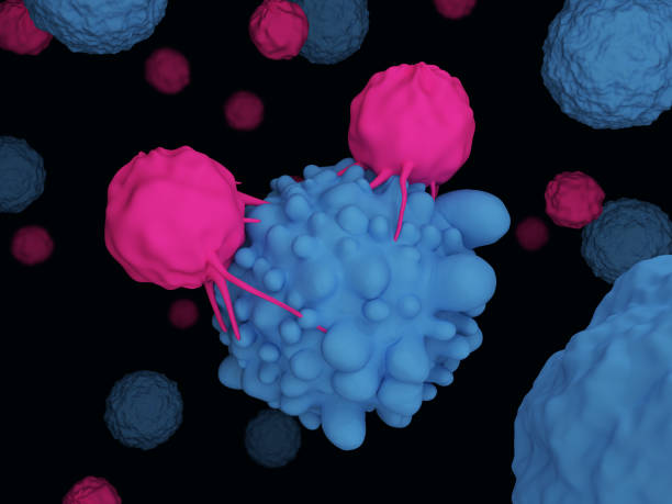 istock T cells attacking cancer cells 953188468