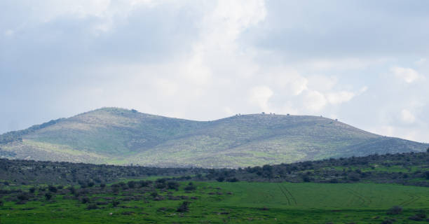 Morning green hills