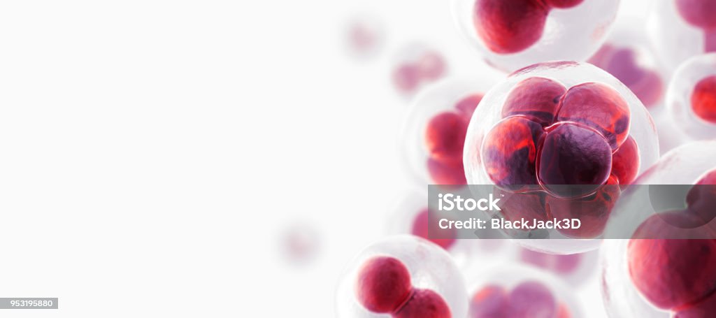 Cells Concept. 3D Render Human Cell Stock Photo