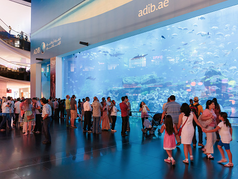 DUBAI, UAE - NOVEMBER 9: View of Dubai Aquarium inside Dubai Mall on November 9, 2013 in Dubai, UAE. The Aquarium has the longest plexi glass tunnel in the world.