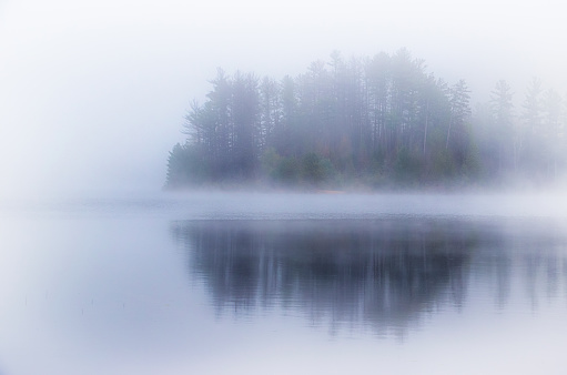 Elk Lake Regional Park on a foggy winter day.