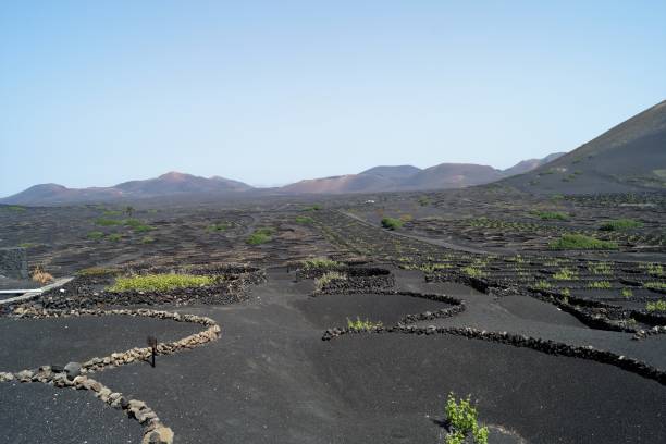 istock The Geria, Lanzarote, Canary Island, Spain 953222384