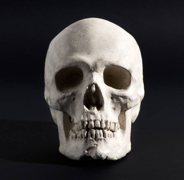 黒い背景に人間の頭蓋骨の接写