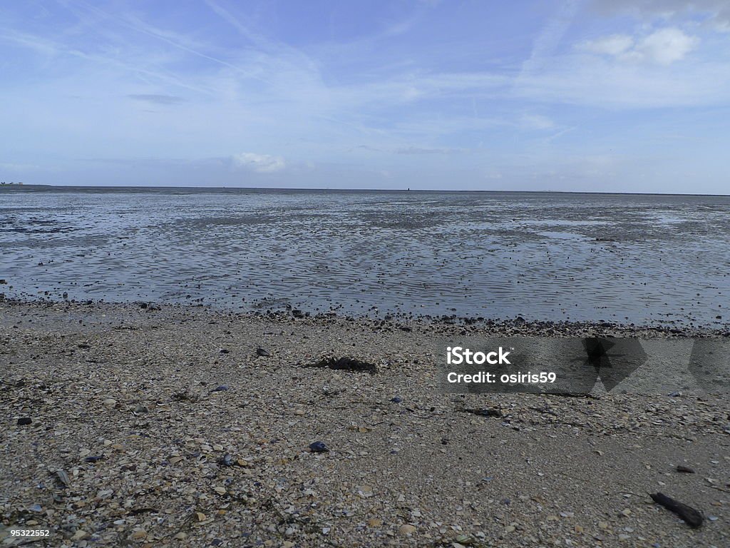 Lama flats - Foto de stock de Azul royalty-free