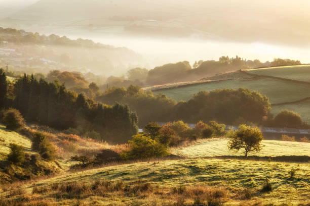 landschaft-england - england field autumn season stock-fotos und bilder