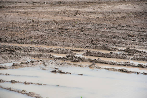 istock Dirty country road in spring 953230862