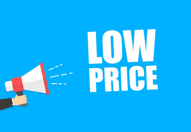istock Male hand holding megaphone with low price speech bubble. Loudspeaker. Banner for business, marketing and advertising. Vector illustration. 953231708