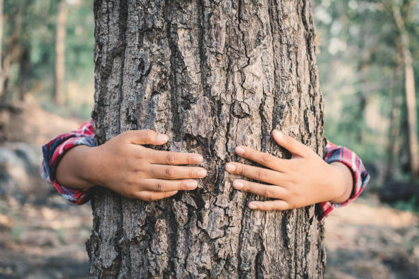 istock Close-Up Of Hands Embracing Tree 953232878