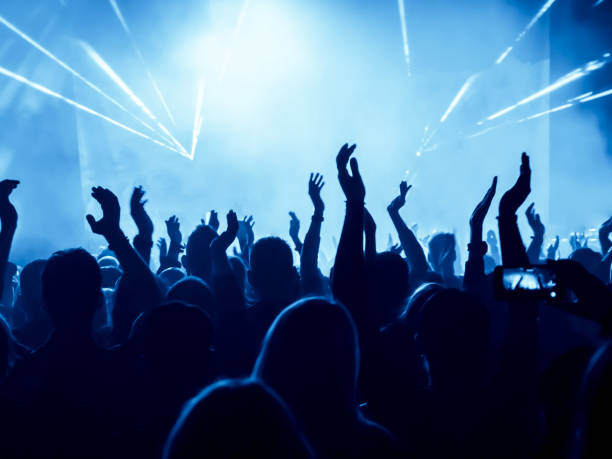 istock Crowd At Music Concert 953233556