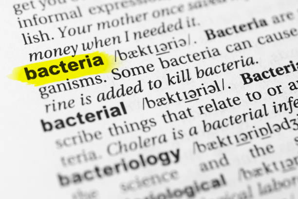 istock Highlighted English word 