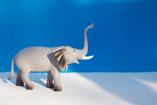 istock African elephant figurine made of plastic 953240204
